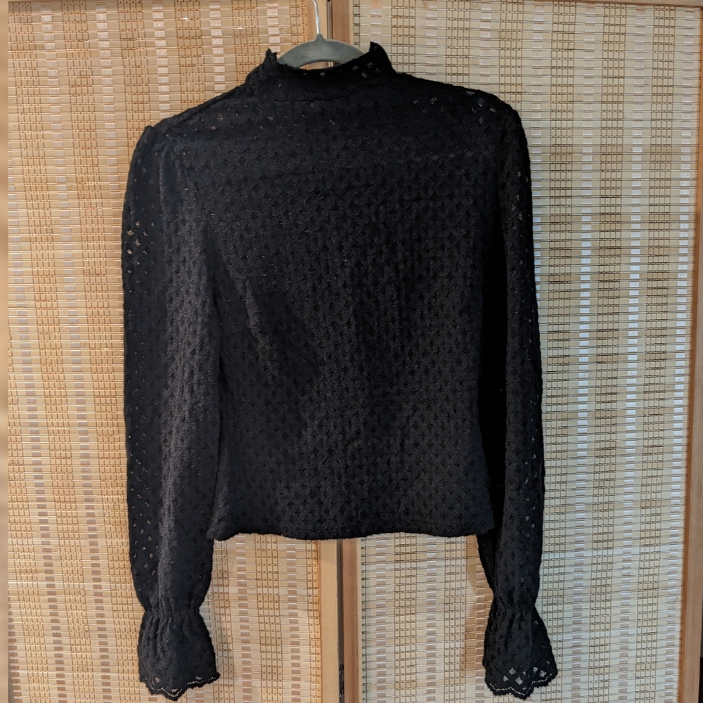 semi-sheer turtleneck